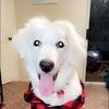 alleyepperson